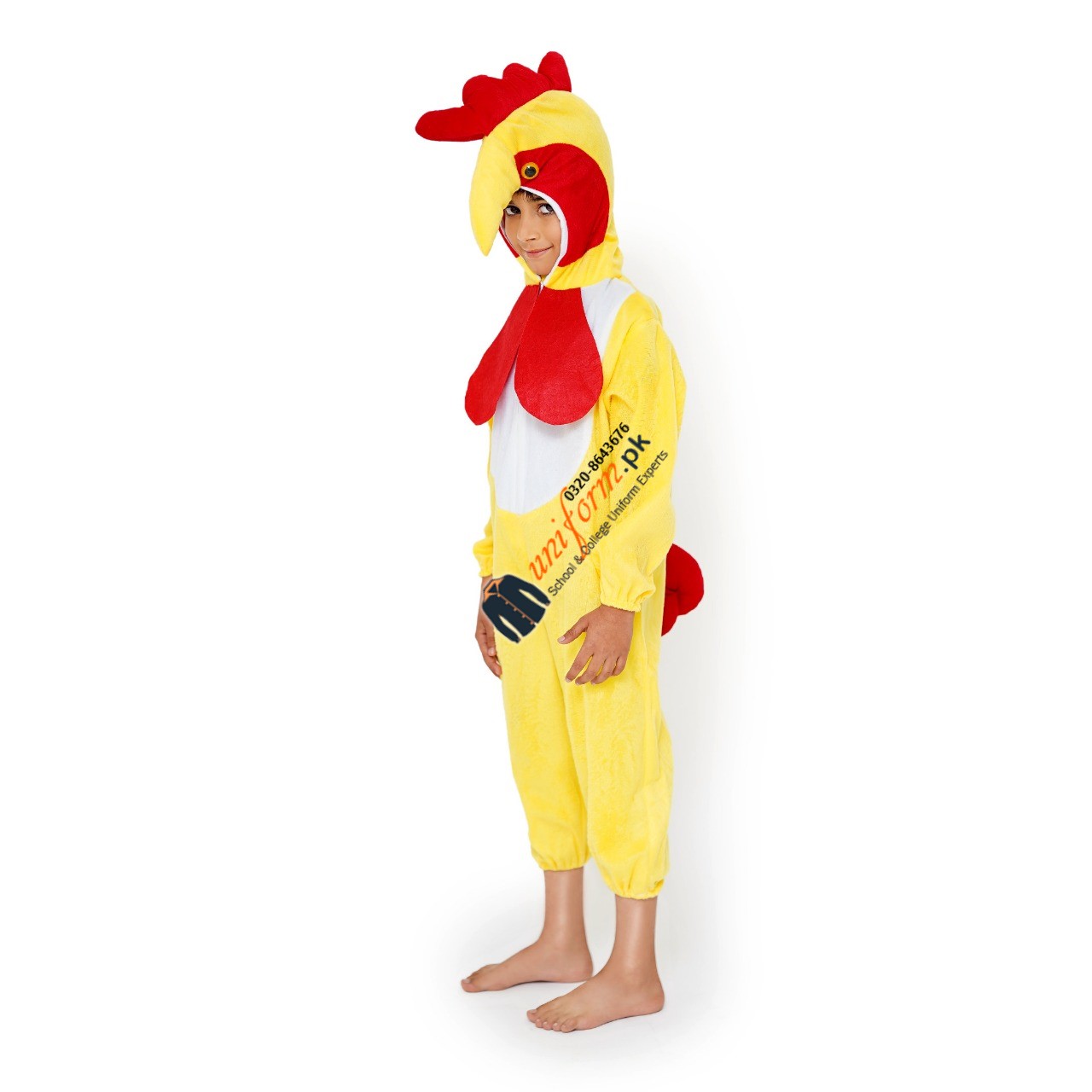 Hen costume 2024